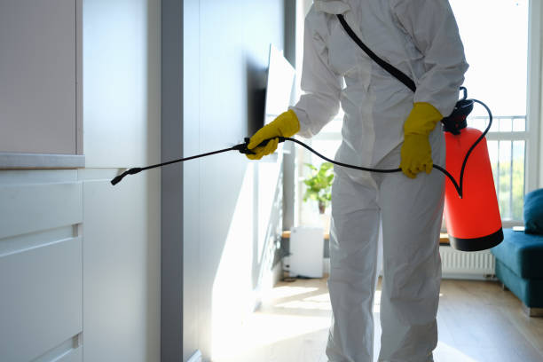 Best Mold Testing and Removal  in Somerset, OH