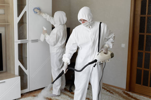 Best Toxic Mold Removal  in Somerset, OH